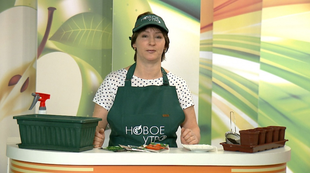 Назарова Светлана Викторовна